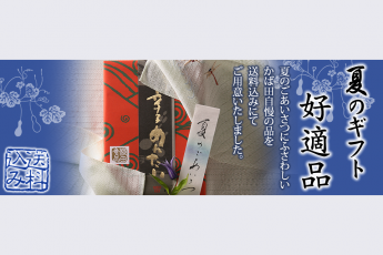 夏のご挨拶、好適品